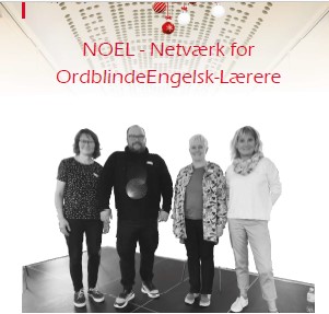 NOEL article Ordblindebladet 2020